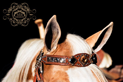 Cookie Wearing Luans Leathers