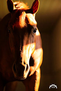 Save My Spot In Heaven