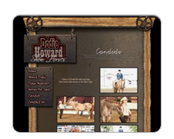 Dodie Howard Show Horses