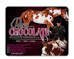 Roses And Chocolate APHA Stallion