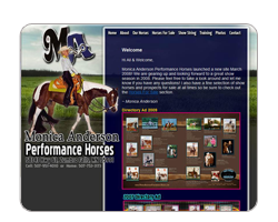 Monica Anderson Performance Horses