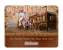 Open Range AQHA Stallion