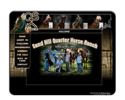 Sand Hill Quarter Horses