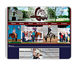 Troy Green Quarter Horses